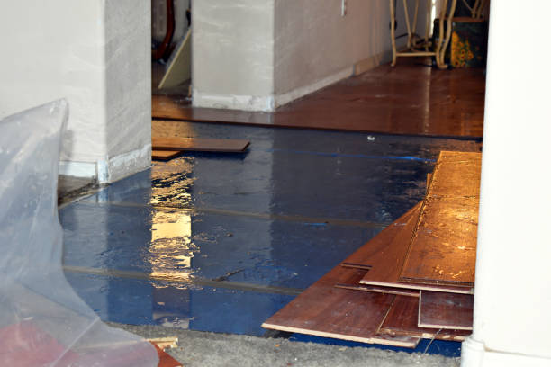 Professional Water Extraction technician working in Rayland, OH
